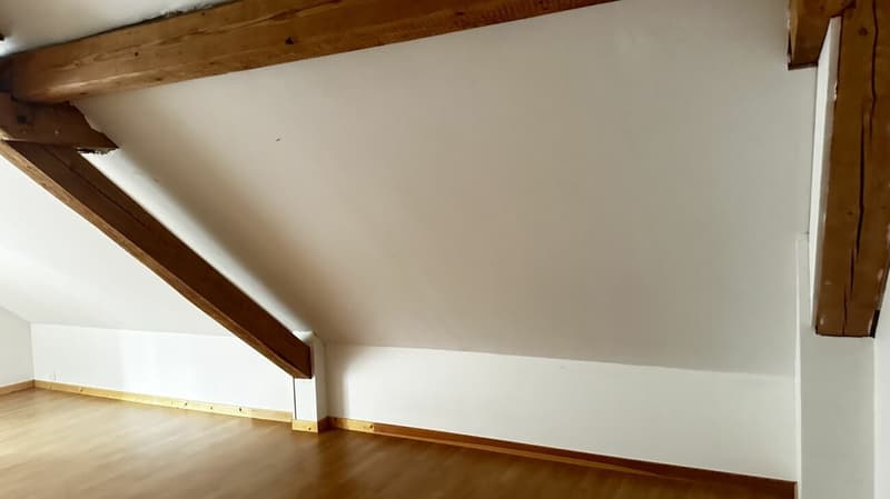 Charmant appartement en maisonnette à louer (17)