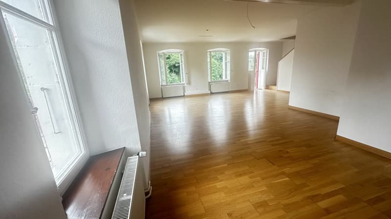 Charmant appartement en maisonnette à louer (6)