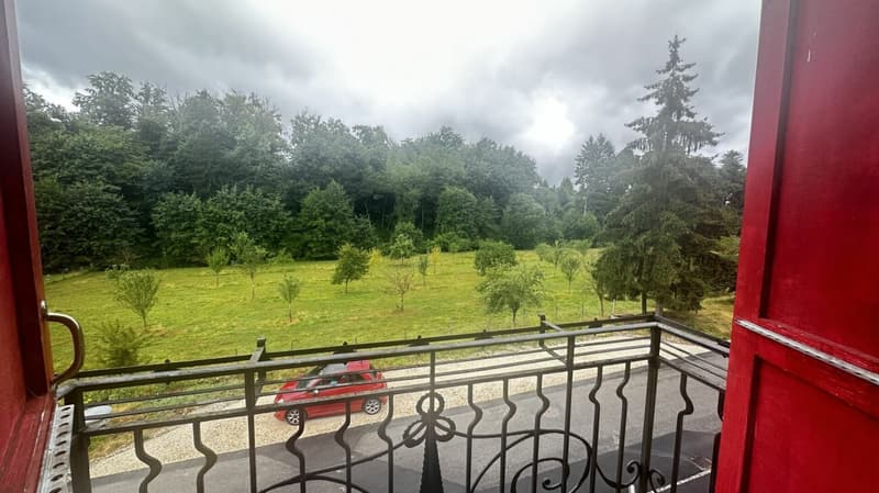 Charmant appartement en maisonnette à louer (5)