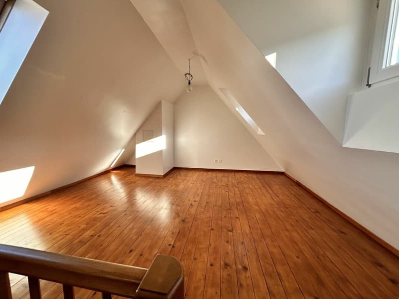 Kernsaniertes Einfamilienhaus mit Einliegerwohnung und grossem Garten (8)