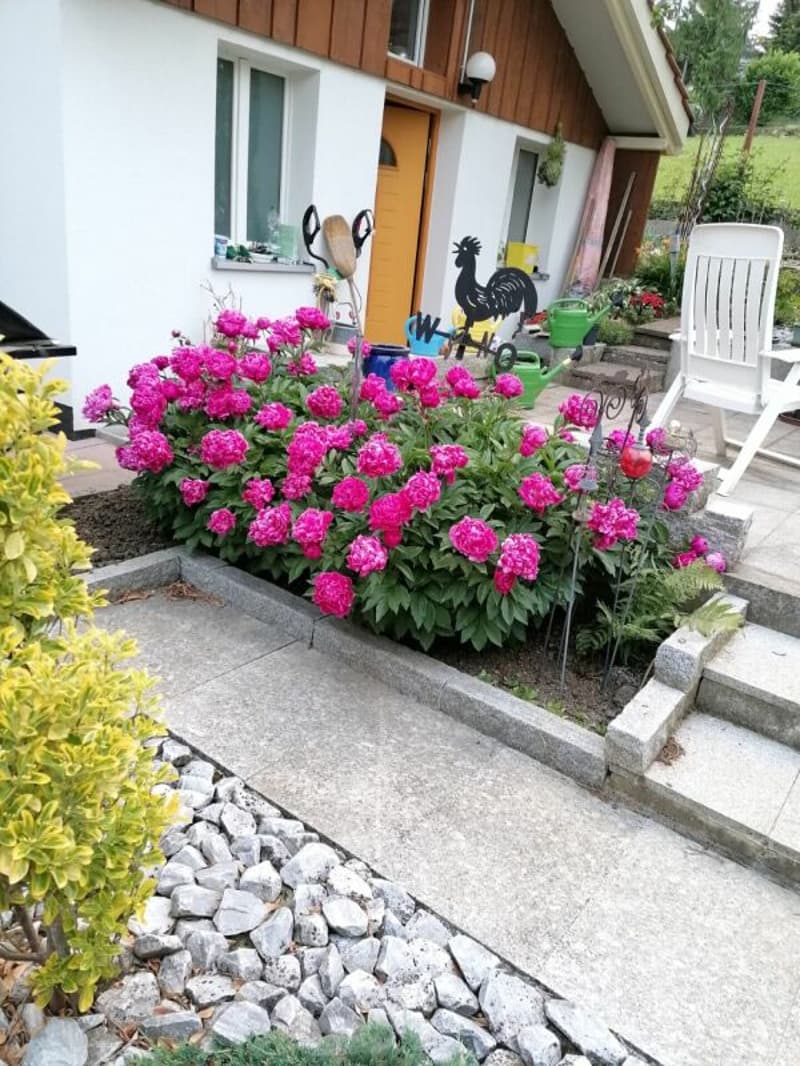 Kernsaniertes Einfamilienhaus mit Einliegerwohnung und grossem Garten (10)