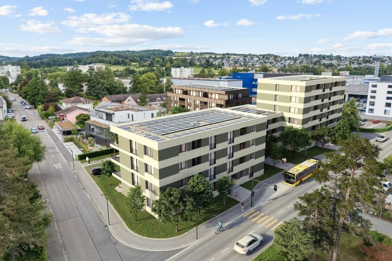 4.5 Zimmer Gartenwohnungen mit 250 m² und 100 m² Gartenanteil (7)