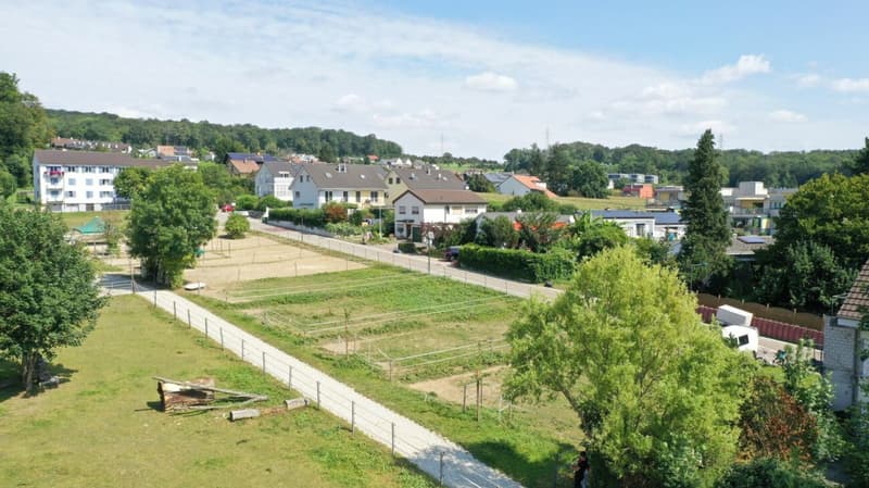 Sonnige 4.5 Zimmer Neubauwohnung mit Wintergarten (8)