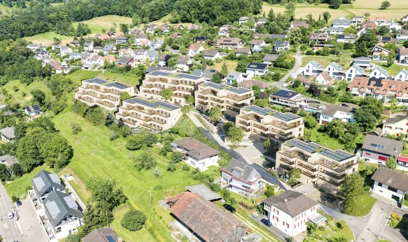 Modernes Attikawohnen mit viel Licht und Weite (2)
