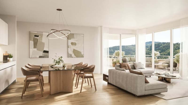 Modernes Attikawohnen mit viel Licht und Weite (5)
