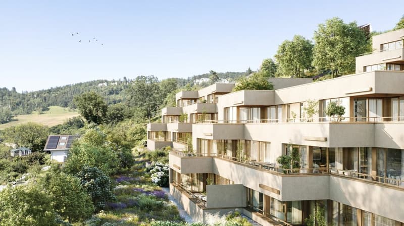 Helle Terrassenwohnungen | Florea (1)