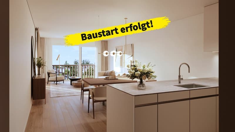 Exklusive 4.5 Zimmer Attikawohnung mit Panorama Terrasse in Therwil (1)