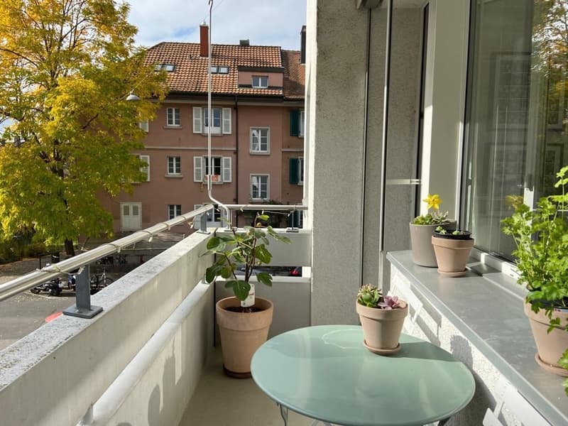 Aussicht_von_Balkon.jpg