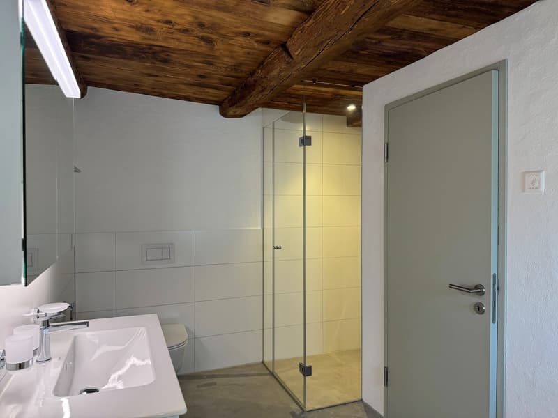 Luxurious and dreamy living and working under a historic roof (14)