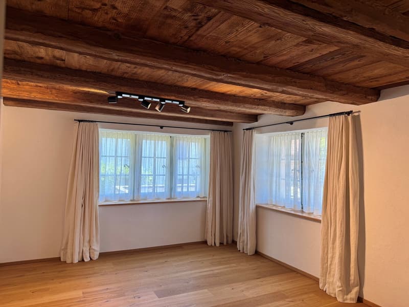 Luxurious and dreamy living and working under a historic roof (16)