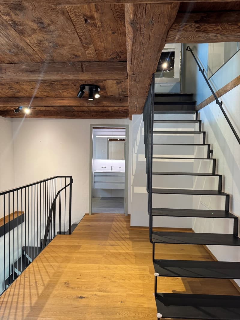 Luxurious and dreamy living and working under a historic roof (15)