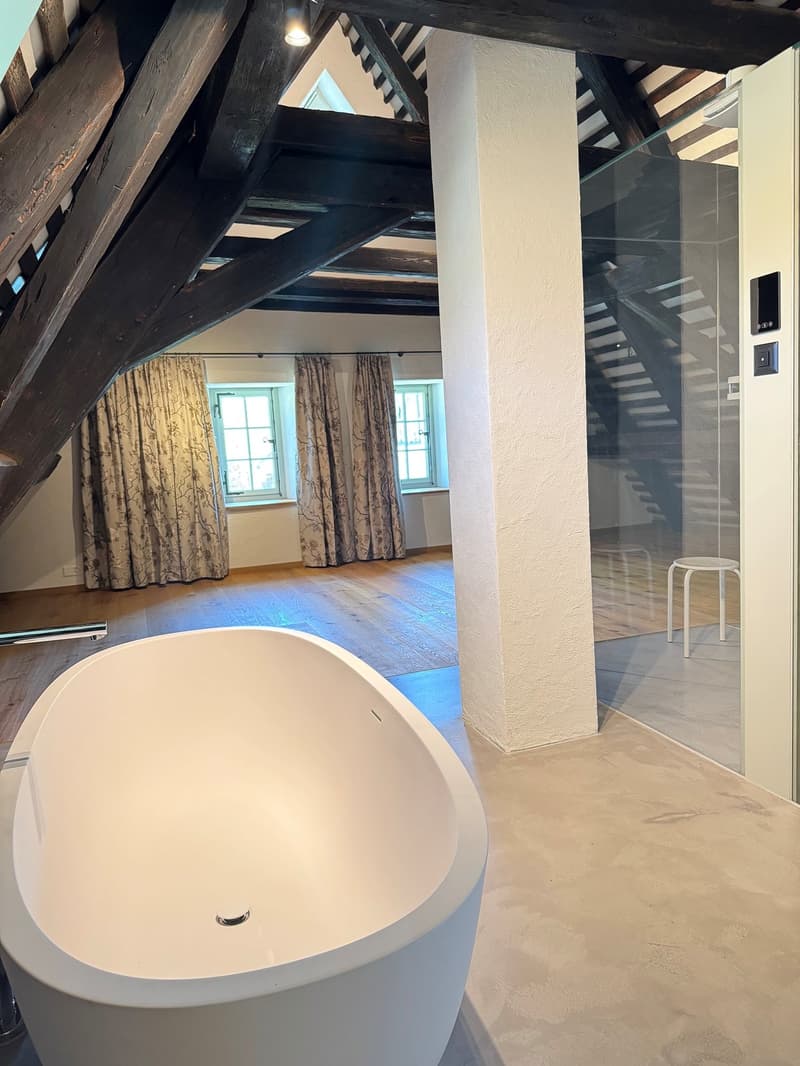 Luxurious and dreamy living and working under a historic roof (10)