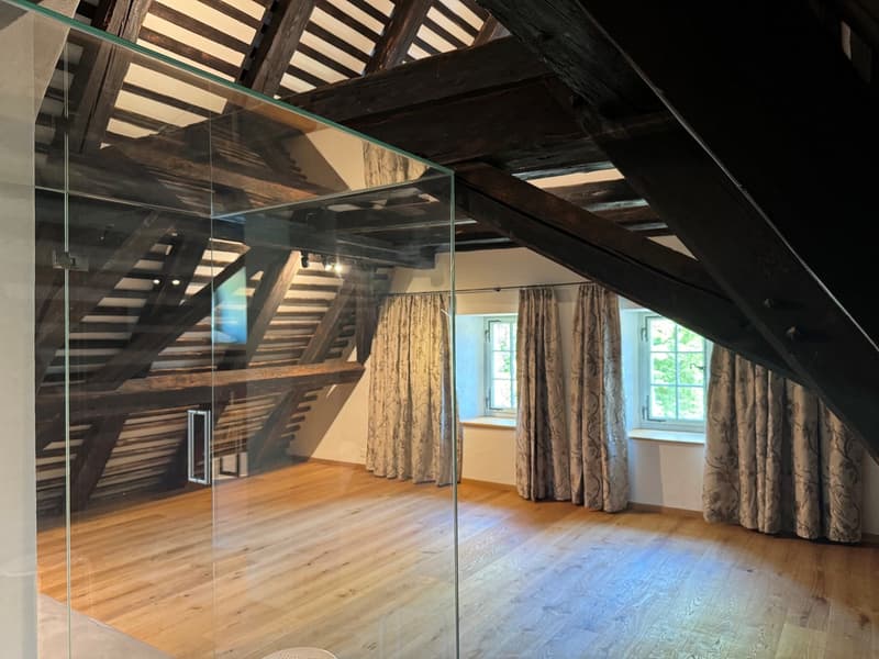Luxurious and dreamy living and working under a historic roof (7)