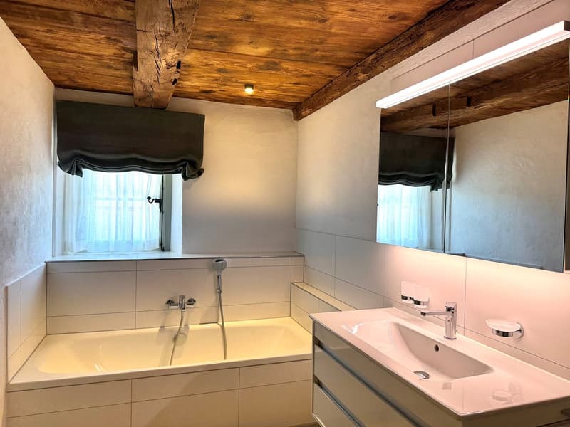 Luxurious and dreamy living and working under a historic roof (13)