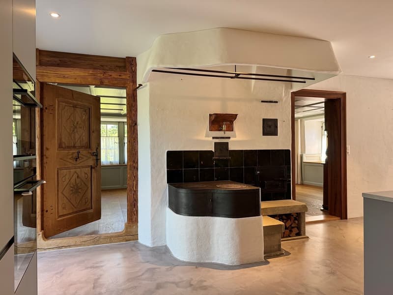 Luxurious and dreamy living and working under a historic roof (4)