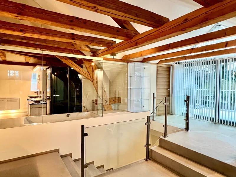 Traumvilla Bj. 1885, kernsaniert / erweitert 2007, 3 lux. Wohnungen / 1 Studio (20)