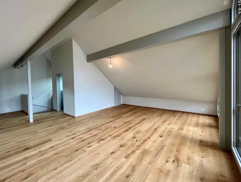 Modernes 7.5-Zimmer-Doppeleinfamilienhaus eingebettet ins Suterguet Gränichen (19)