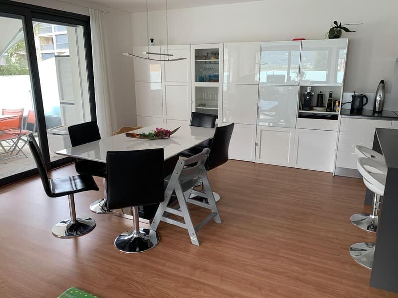 Moderne Attikawohnung mit zwei Panorama-Terrassen (5)