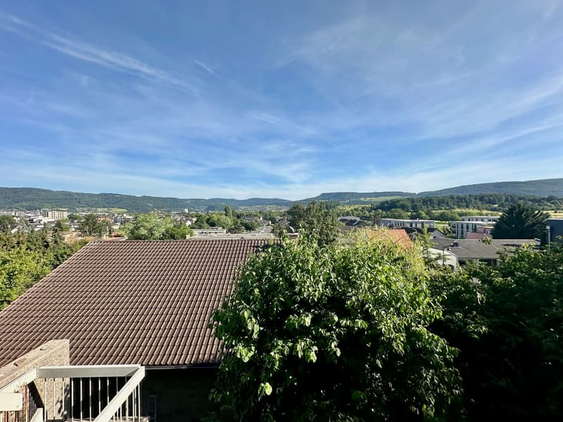 Architektenhaus mit Weitsicht an ruhiger Lage in Reinach BL (5)