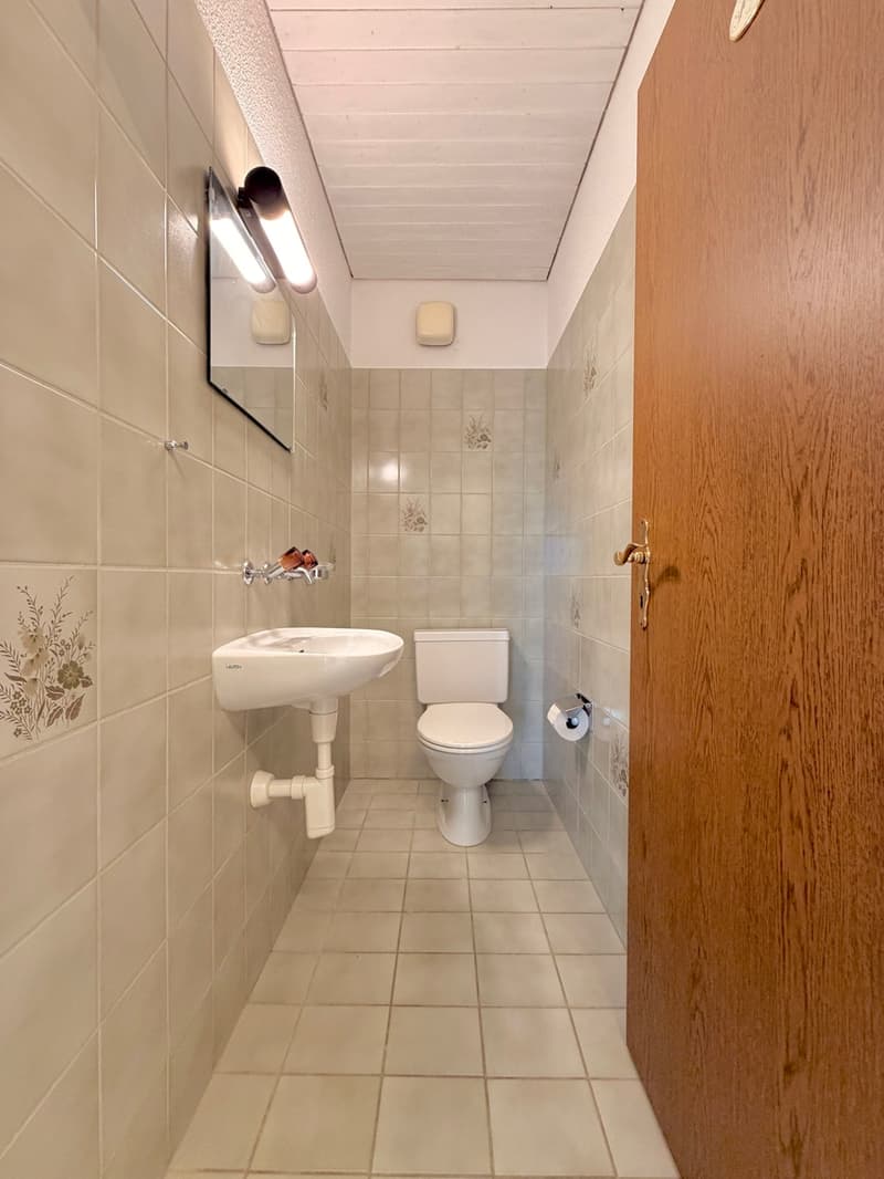 Panorama-Wohnung mit 160 m² Nebenraum - Wohnen ohne Grenzen (9)