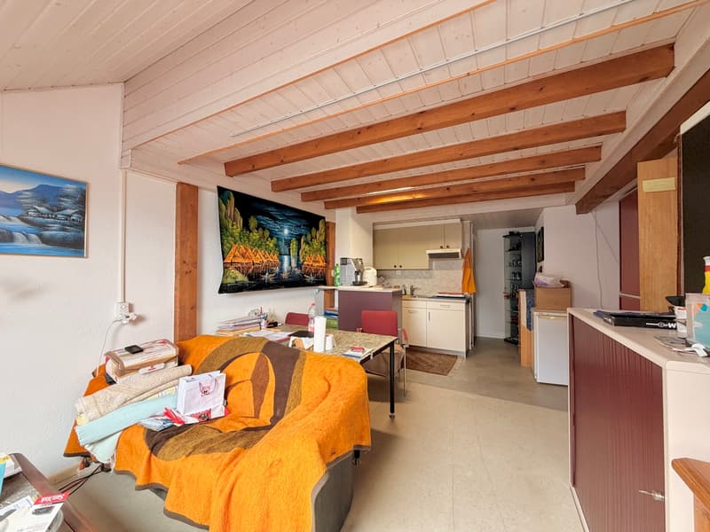 Panorama-Wohnung mit 160 m² Nebenraum - Wohnen ohne Grenzen (13)