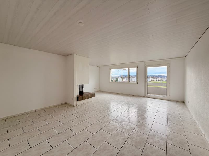 Panorama-Wohnung mit 160 m² Nebenraum - Wohnen ohne Grenzen (3)