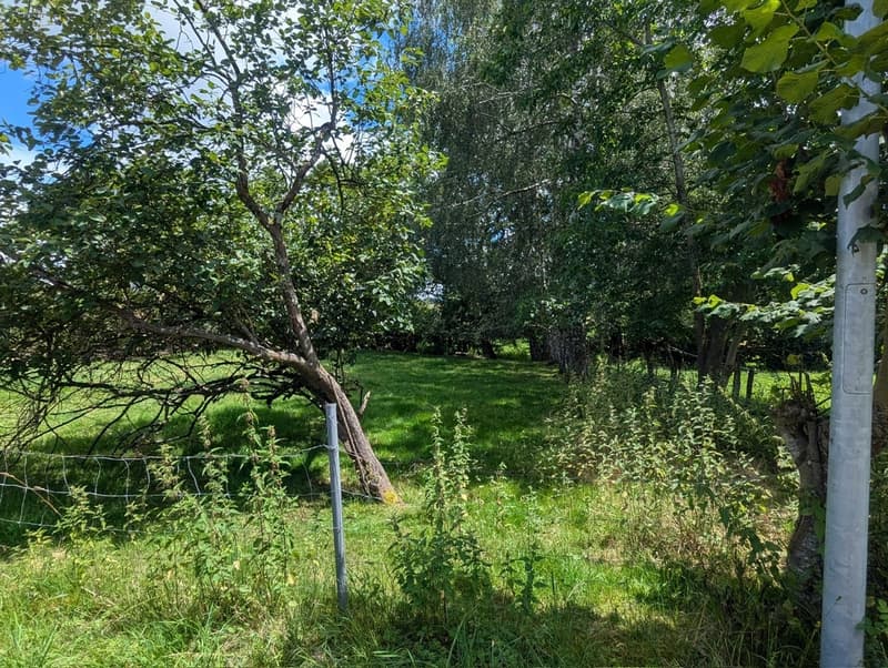 Bauland in idyllischer Umgebung zu verkaufen (3)