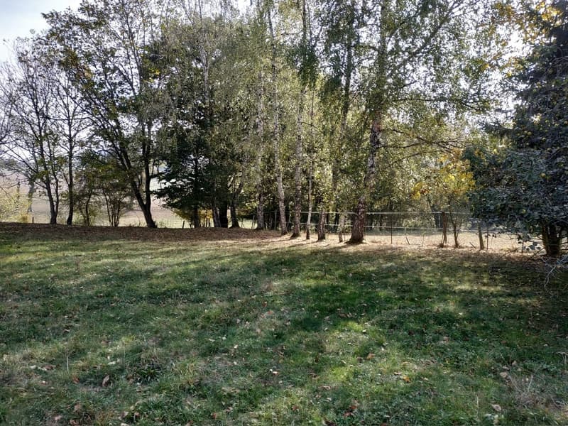 Bauland in idyllischer Umgebung zu verkaufen (7)