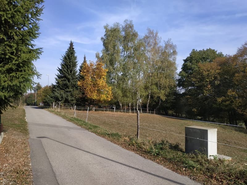 Bauland in idyllischer Umgebung zu verkaufen (6)