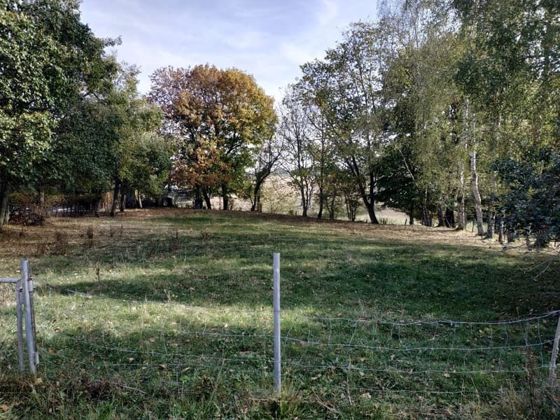 Bauland in idyllischer Umgebung zu verkaufen (4)