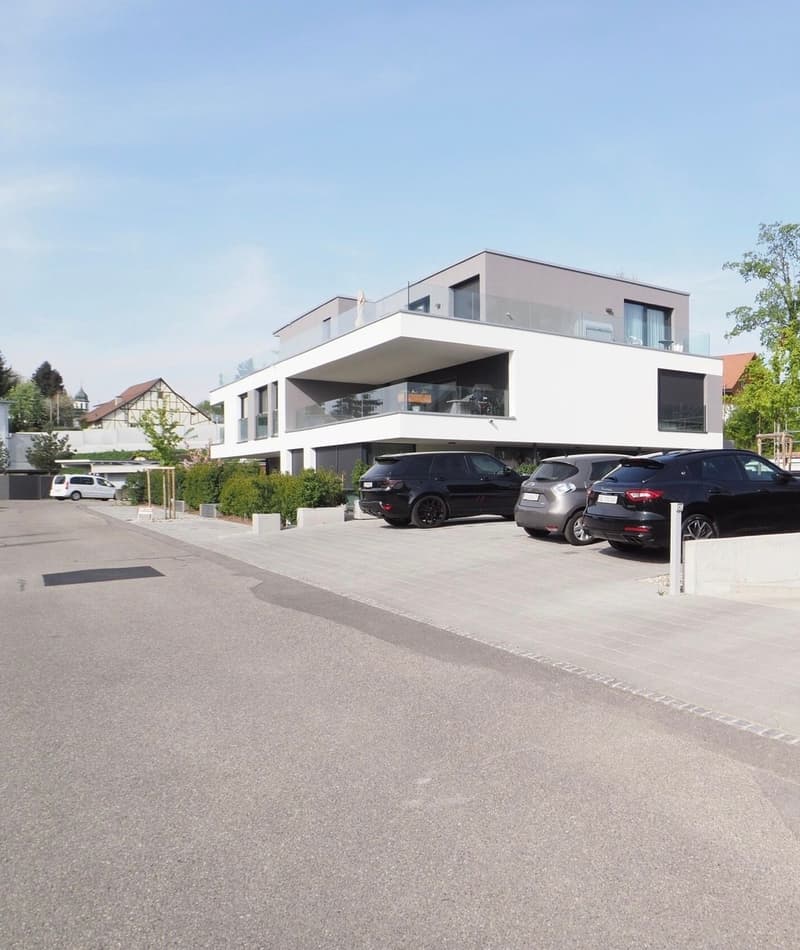 Moderne Designer-Attikawohnung mit Aussichtsterrasse (3)