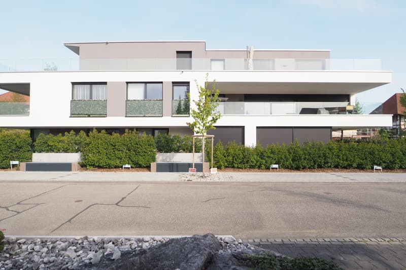 Moderne Designer-Attikawohnung mit Aussichtsterrasse (1)