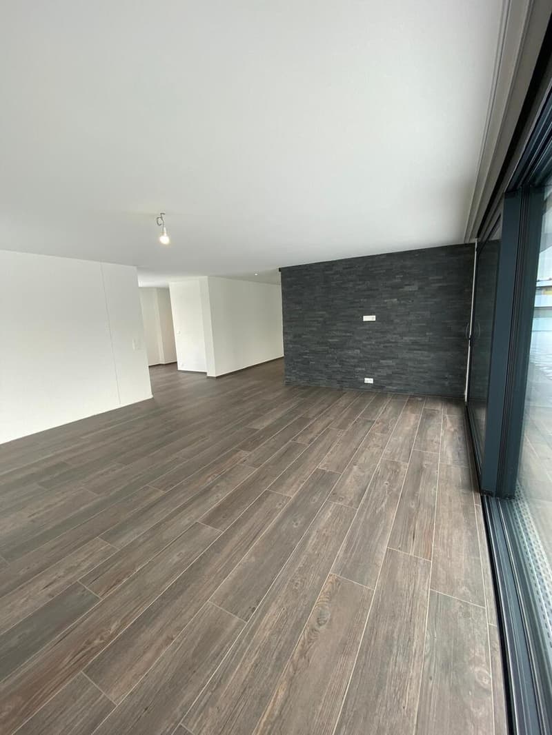 Moderne Designer-Attikawohnung mit Aussichtsterrasse (7)