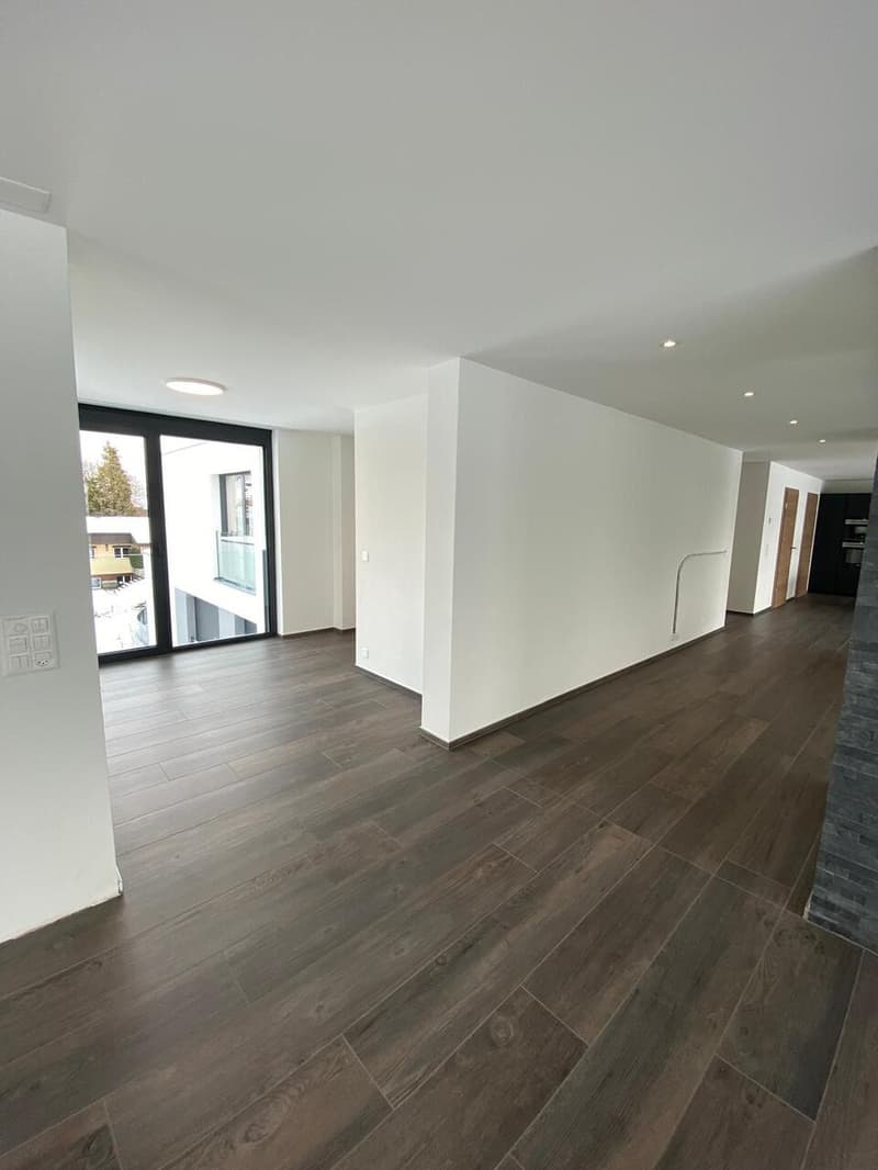 Moderne Designer-Attikawohnung mit Aussichtsterrasse (9)