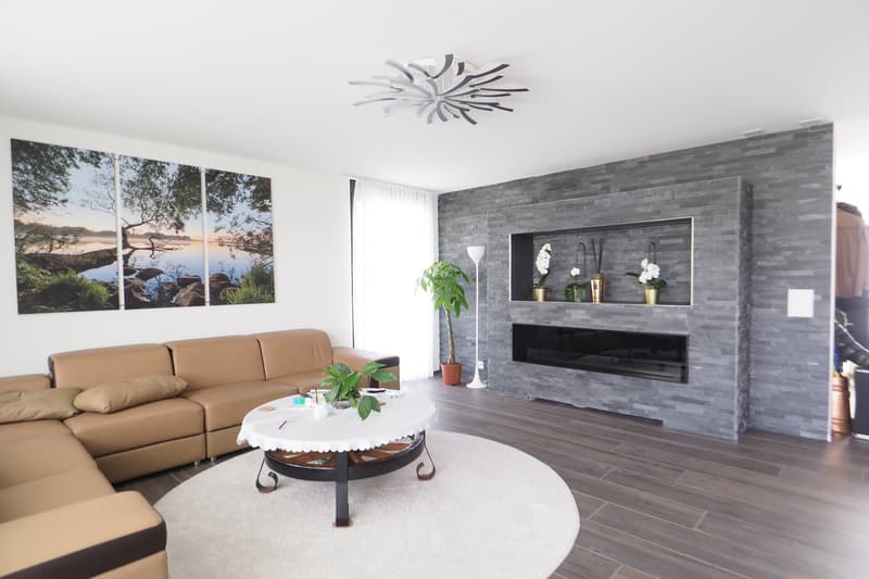 Moderne Designer-Attikawohnung mit Aussichtsterrasse (4)