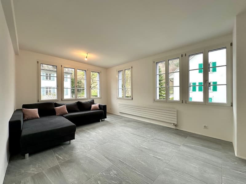 2.5-Zimmer Wohnung mit Balkon (1)