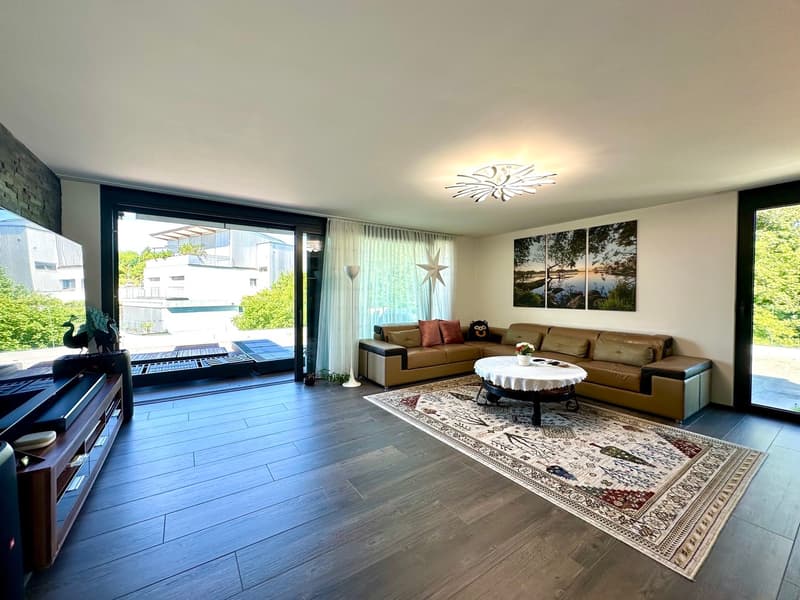 Moderne Designer-Attikawohnung mit Aussichtsterrasse (4)