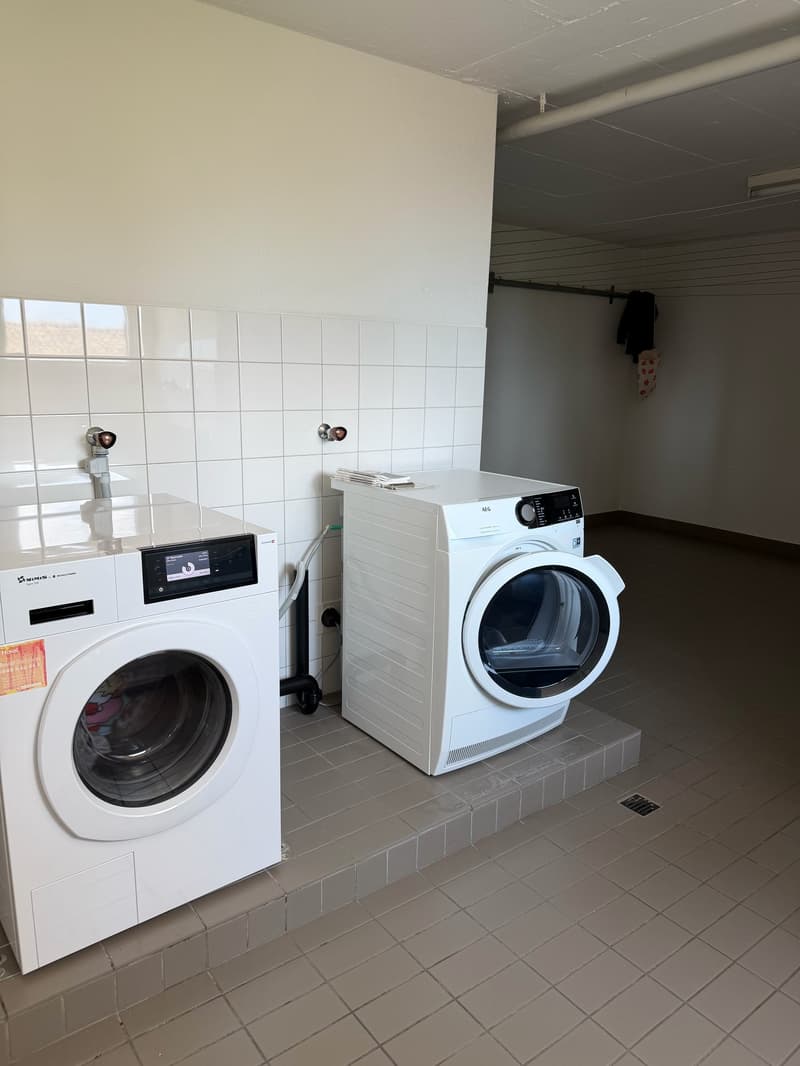 Prächtiges 4.5-Zimmer-Dachgeschoss in Locarno – Via alla Basilica (7)