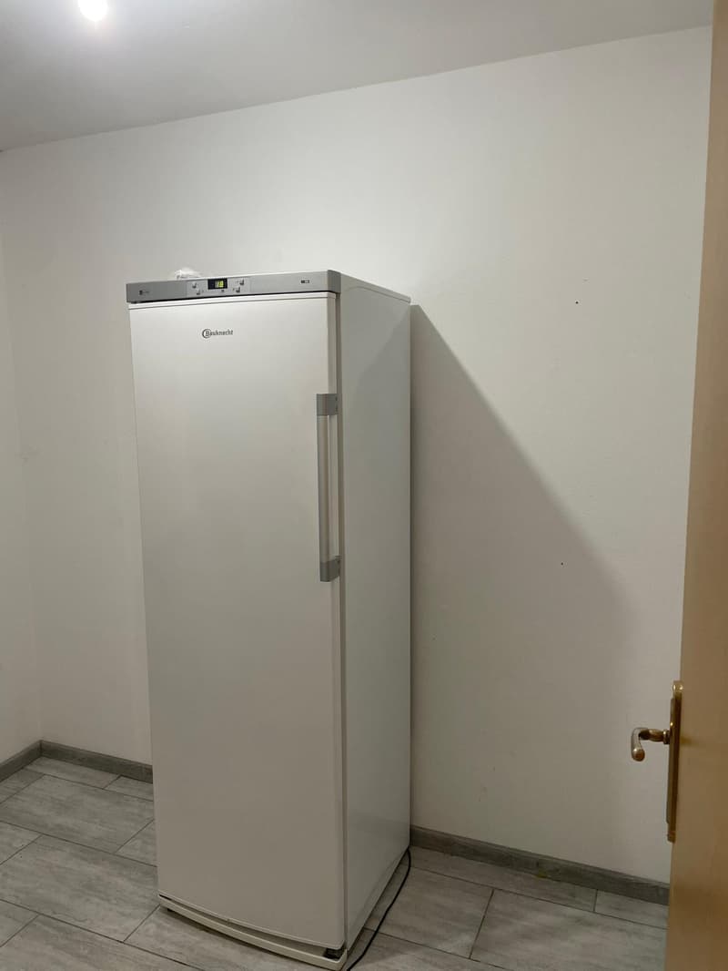 Appartamento di 4.5 locali a Brissago, vicino al lago (3)