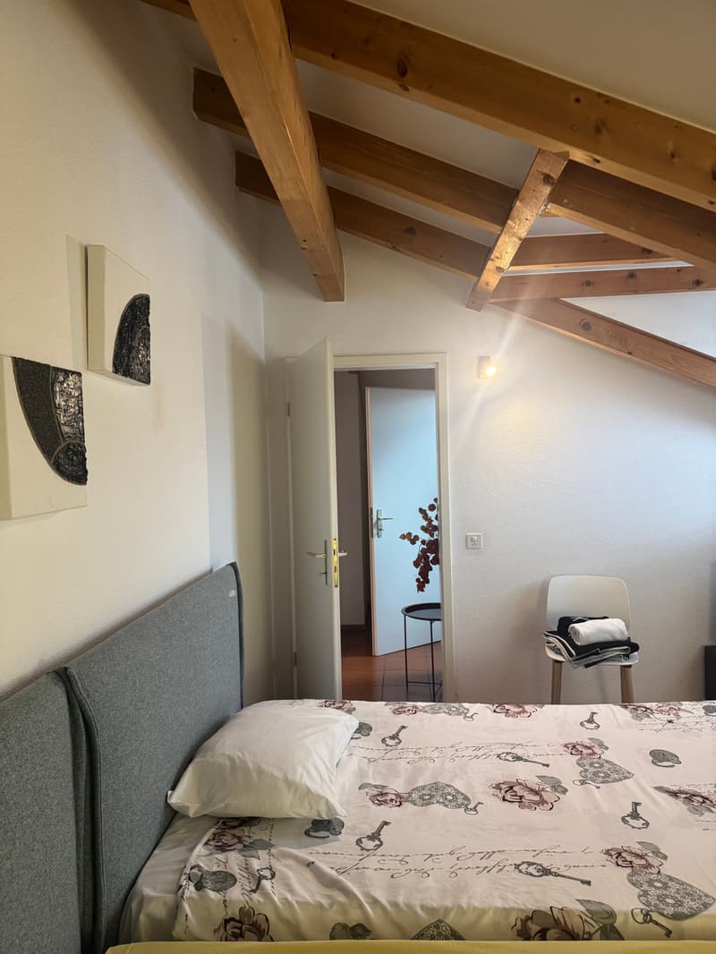 Appartamento Arredato con Vista Panoramica ad Ascona (3)