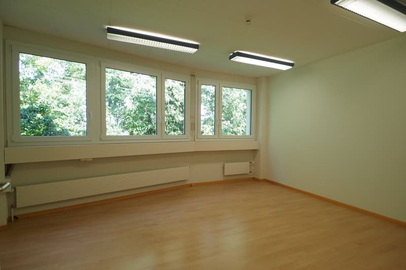 Wooden floor, white walls, large windows, recessed ceiling lights, under-window sills, white radiators