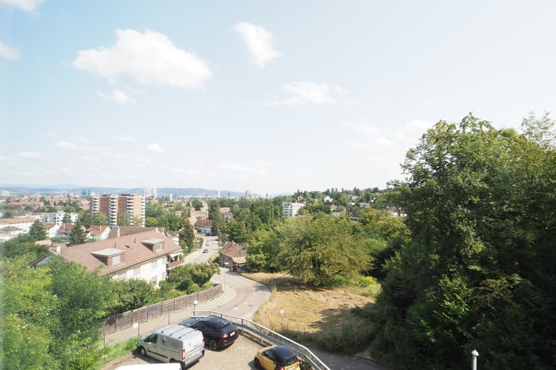 Aerial view of a neighborhood with houses, trees, and a winding road. Several cars are parked along the road.