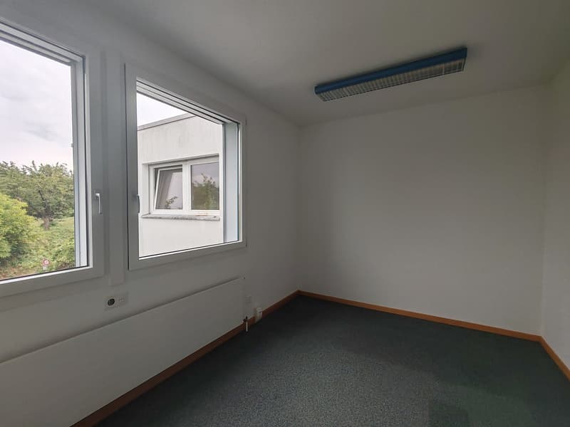 empty room, white walls, large windows, ceiling light, floor heating
