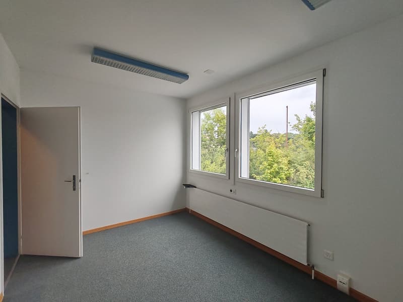 empty room, white walls, gray floor, two windows, white door, radiator