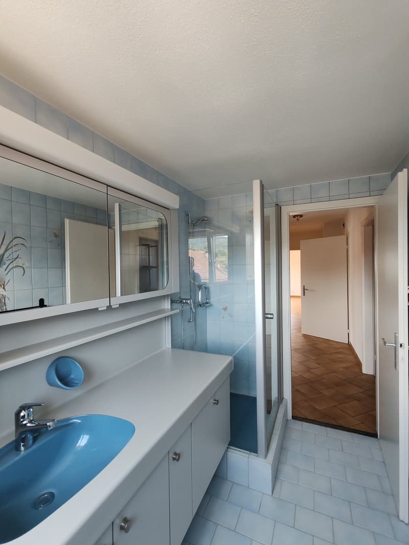 Bright 4-room apartment with balcony in Dornach (12)