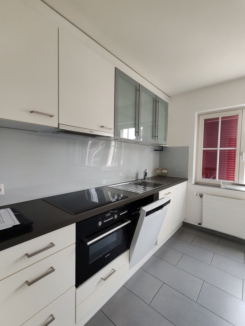 Bright 4-room apartment with balcony in Dornach (8)