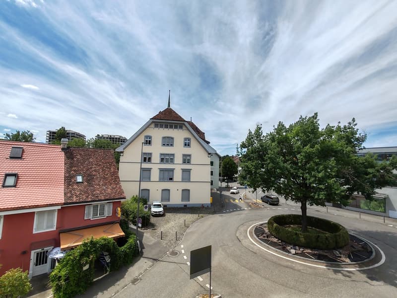 Bright 4-room apartment with balcony in Dornach (18)