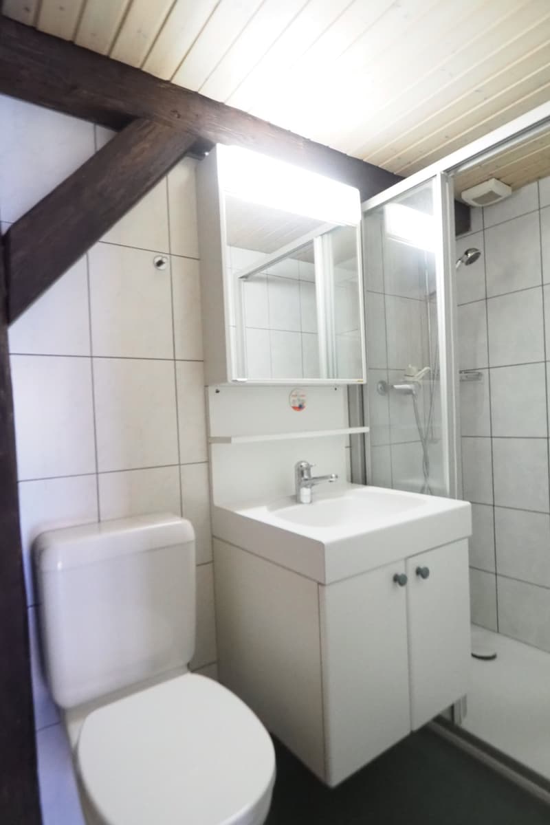 Zu vermieten eine Grosszügige 6.5 Zimmer Duplex-/Maisonette-Wohnung im Stedtli Laufen. (14)
