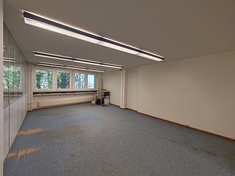 empty room, white walls, gray carpet, fluorescent ceiling lights, windows, radiators