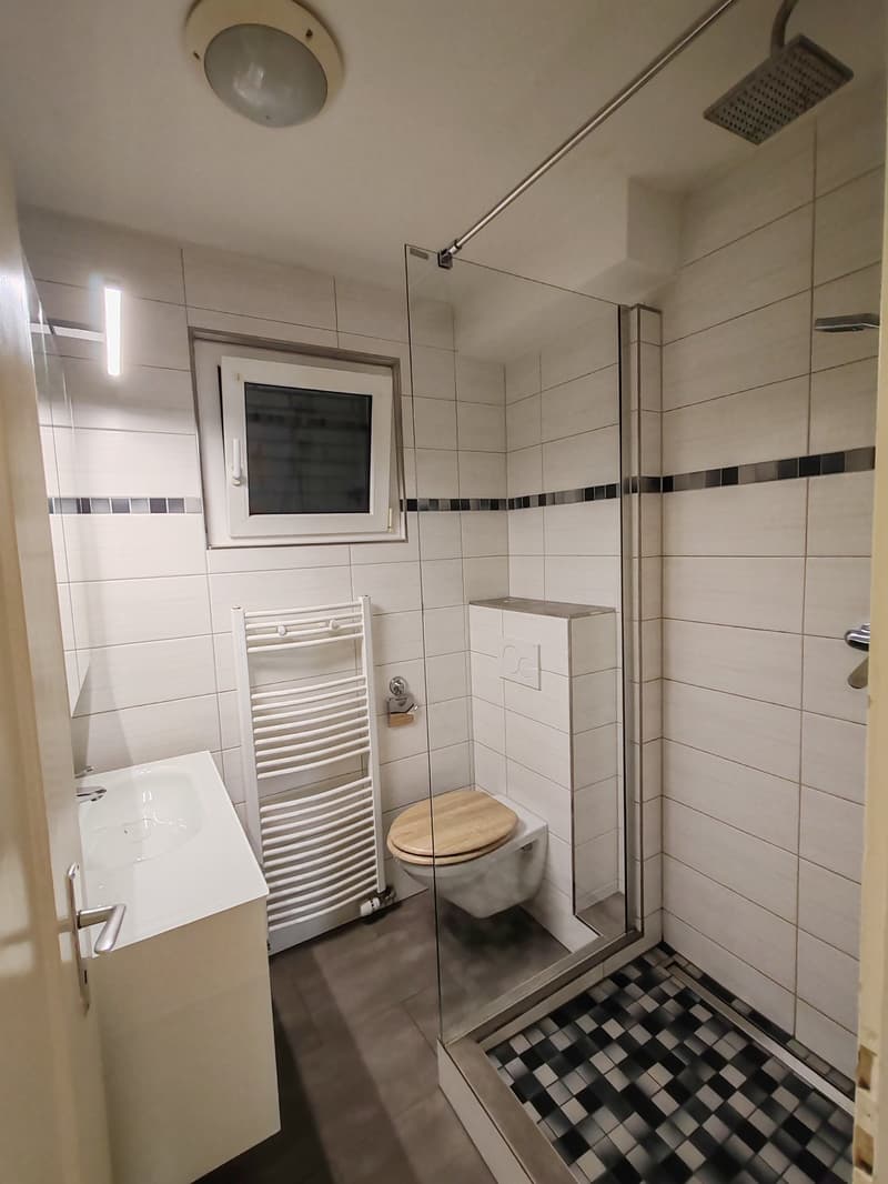 Charmante 4-Zimmer-Wohnung in historischem Gebäude in Reinach (10)